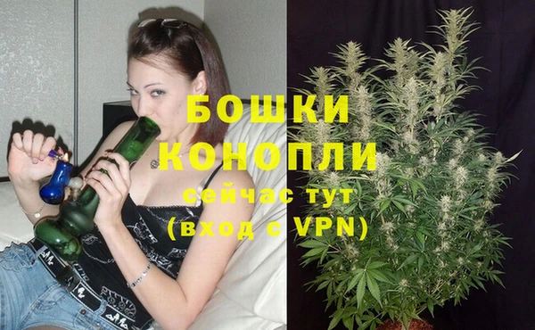 мескалин Богородицк